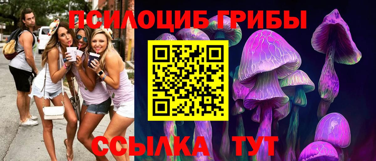 Псилоцибиновые грибы GOLDEN TEACHER Жуковский