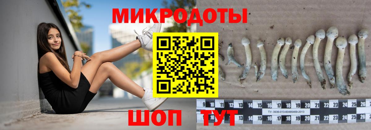 Жуковский  Галлюциногенные грибы Psilocybe  Вход с VPN  Псилоцибиновые грибы мухоморы 